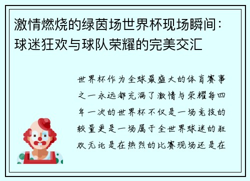 激情燃烧的绿茵场世界杯现场瞬间：球迷狂欢与球队荣耀的完美交汇